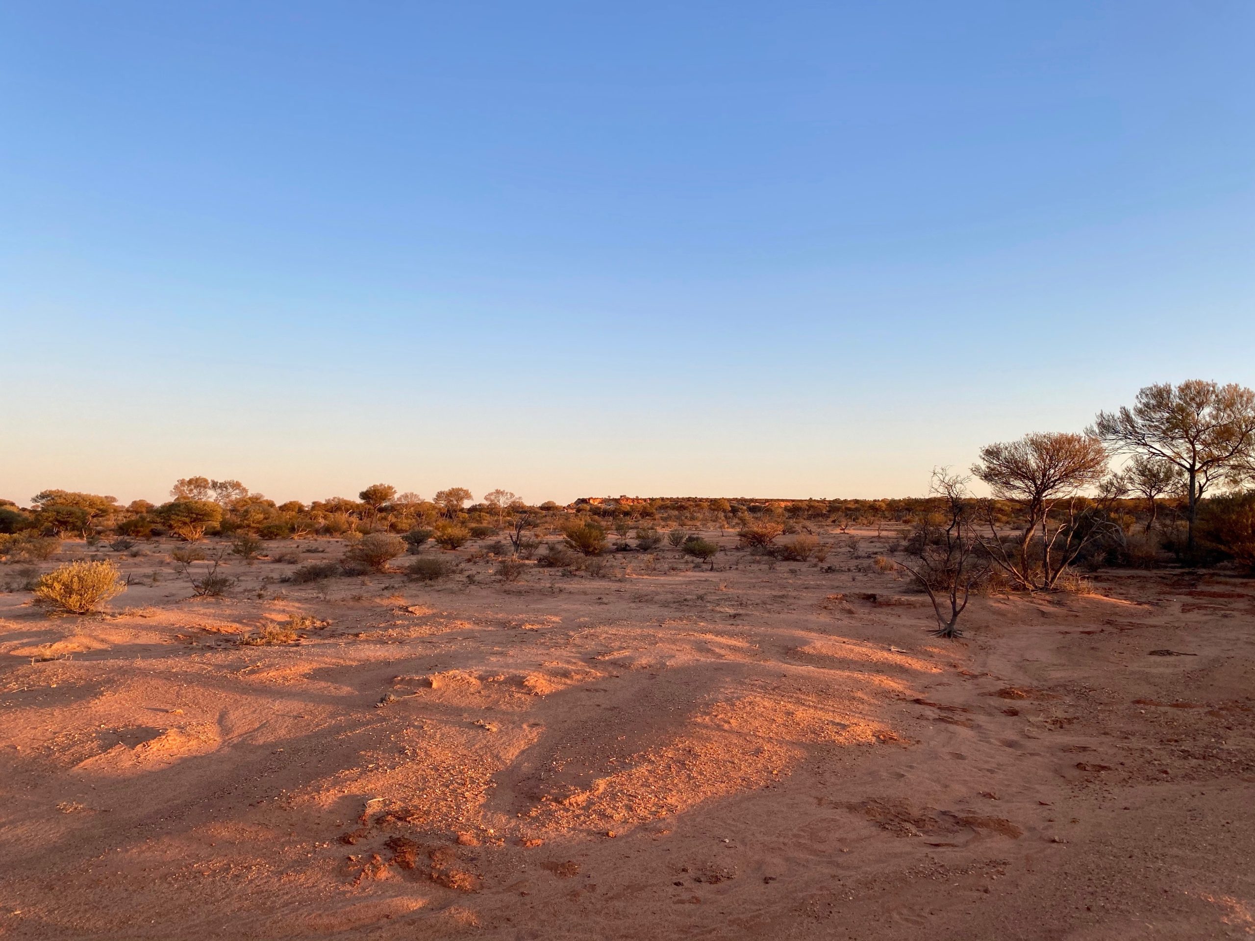 Jasper Hill project landscape